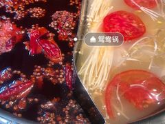 -朱氏胖子烂火锅(洪崖洞店)