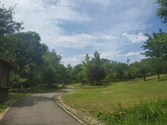 -白鹭湾湿地公园