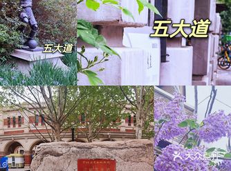 赴一场春天的约会~天津五大道