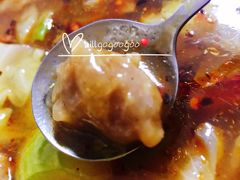 -马光荣肉丸糊辣汤(边东街店)