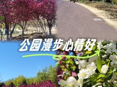 -济南国际园博园