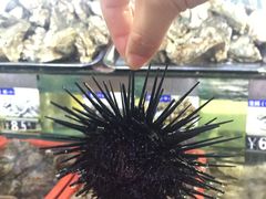 -四川小胡子海鲜(丁村万人海鲜广场店)