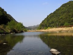 -桑洲油菜花景区