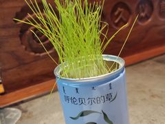 -很久以前羊肉串(簋街店)