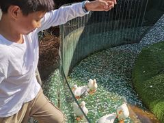-仲盛世界商城