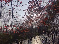 -岳麓山风景名胜区