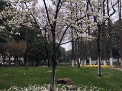 -中共上海市委党校 上海行政学院