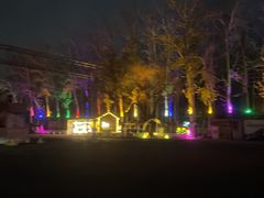 -枫花园汽车电影院(朝阳公园店)