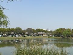 -贡湖湾湿地公园
