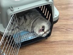 -荔康动物医院(康王北路店)