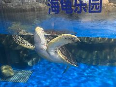 -欢乐海岸海洋奇梦馆