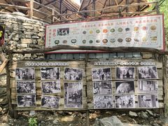-井塘古村