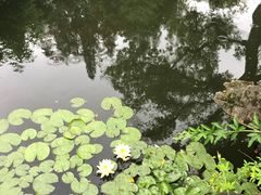-杭州西湖柳莺里酒店
