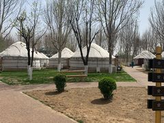 -九十九顶毡房(阜石路店)