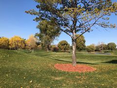 -北京京辉高尔夫俱乐部有限公司