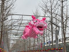 -南宫五洲植物乐园