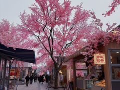 -首开·龙湖成都西宸天街