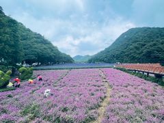 -广州市石门国家森林公园