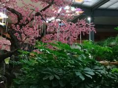 -君临七星生态酒店