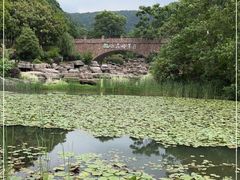 -桃花岭景区