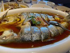 -玫瑰厅上海菜(兴国路店)