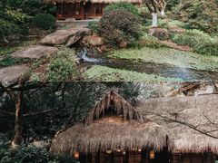 -中国茶叶博物馆(双峰馆区)