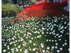 -黑龙江省森林植物园