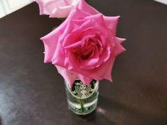 -蒲鲜菜馆
