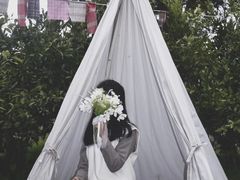 -柑橘农场