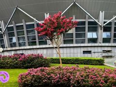 -杭州城北体育公园