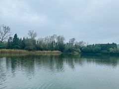 -溱湖国家湿地公园