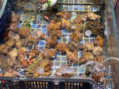 -天盛海鲜烧烤大排档·本地小海鲜·牟平腿穗子(幸福店)