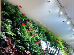 -Peet's Coffee皮爷咖啡(上海长风大悦城店)