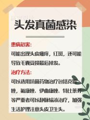 -碧莲盛·不剃发植发