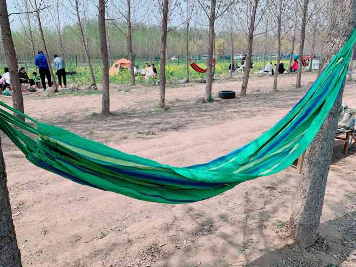 鹊华开心农场-"想五一出去放放风,又怕人多,选来选去发现.