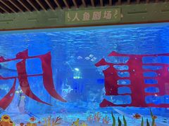 -重庆欢乐海底世界