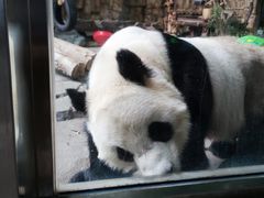 -泉州海丝野生动物世界