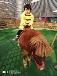 -萌宠亲子动物乐园(槐房万达店)