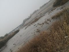 -淇河国家湿地公园