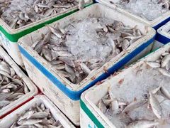 -浪琴湾尾角仔海鲜坊