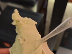 -野人先生Gelato(上海长宁龙之梦店)