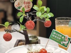 -椿记烧鹅(叠彩店)