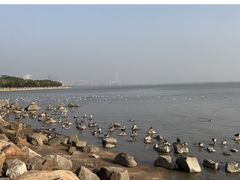 -深圳湾公园(南山区)