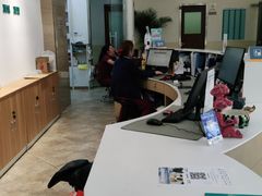 -美联众合动物医院·24h转诊中心