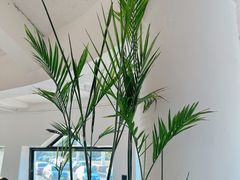 -ChanDu躔度咖啡(灯塔店)