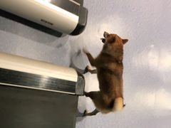 -博纳私人订制健身(中集美兰湖店)