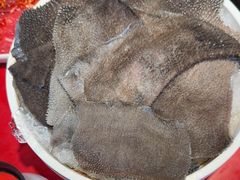 -二荆条·蜀鲜汇城市森林火锅