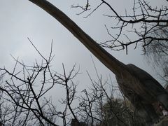 -自然谷恐龙园