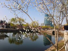 -无锡蠡湖国家湿地公园-蠡园