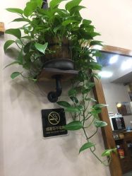 -XY形象设计/烫发·染发·接发